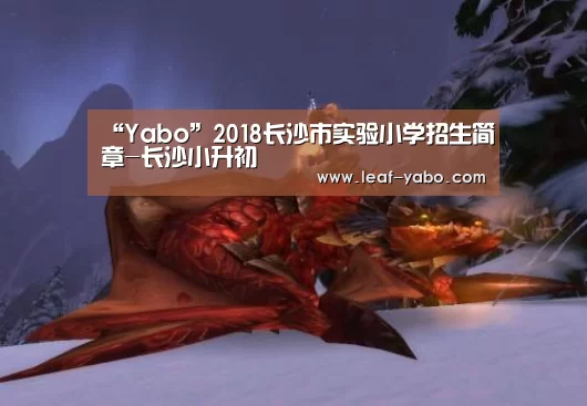 亚博