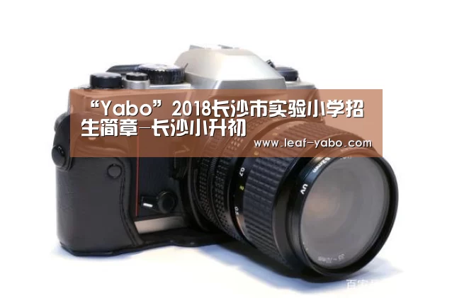 亚博官网