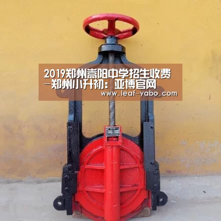2019郑州嵩阳中学招生收费-郑州小升初:亚博官网(图2) 亚博体育