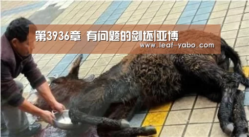第3936章 有问题的剑坯|亚博(图3) 亚博体育