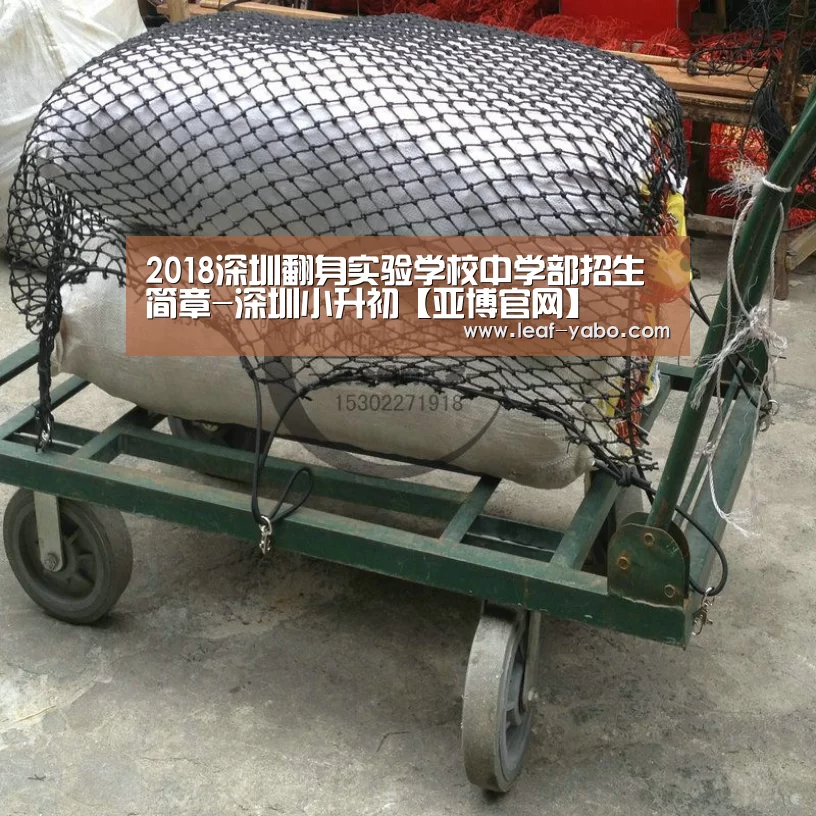 亚博体育